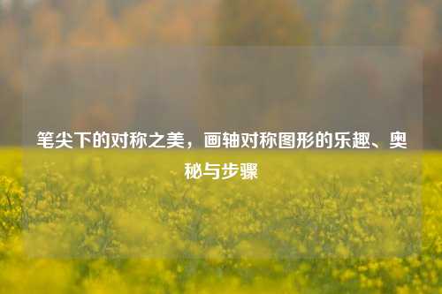 笔尖下的对称之美，画轴对称图形的乐趣、奥秘与步骤