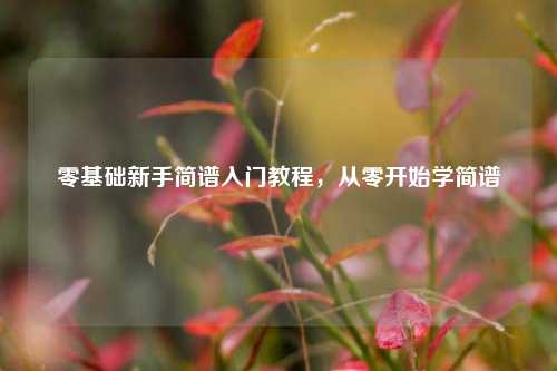 零基础新手简谱入门教程，从零开始学简谱