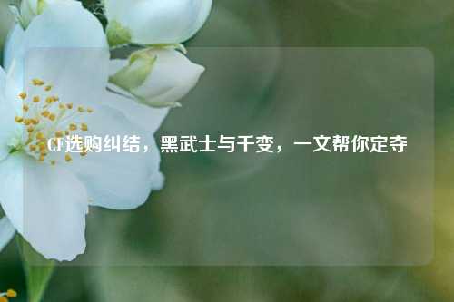 CF选购纠结，黑武士与千变，一文帮你定夺