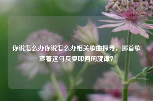 你说怎么办你说怎么办相关歌曲探寻，哪首歌藏着这句反复叩问的旋律？