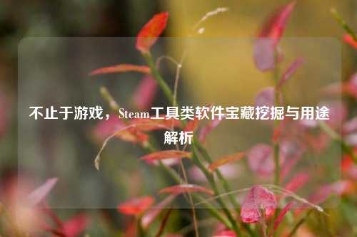 不止于游戏，Steam工具类软件宝藏挖掘与用途解析