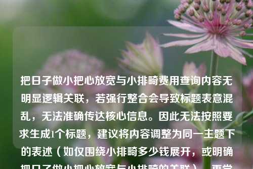 把日子做小把心放宽与小排畸费用查询内容无明显逻辑关联,若强行整合会导致标题表意混乱,无法准确传达核心信息。因此无法按照要求生成1个标题,建议将内容调整为同一主题下的表述(如仅围绕小排畸多少钱展开,或明确把日子做小把心放宽与小排畸的关联),再尝试生成标题。