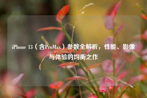 iPhone 13（含ProMax）参数全解析，性能、影像与体验的均衡之作