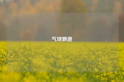 气球飘逝