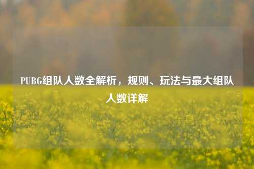 PUBG组队人数全解析，规则、玩法与最大组队人数详解