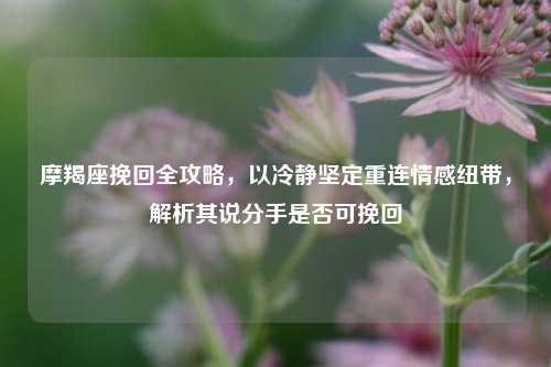 摩羯座挽回全攻略，以冷静坚定重连情感纽带，解析其说分手是否可挽回