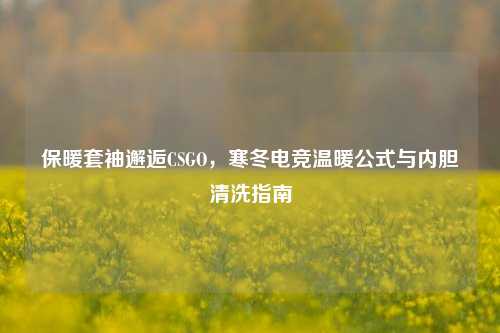保暖套袖邂逅CSGO，寒冬电竞温暖公式与内胆清洗指南