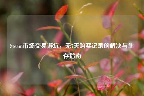Steam市场交易避坑，无7天购买记录的解决与生存指南