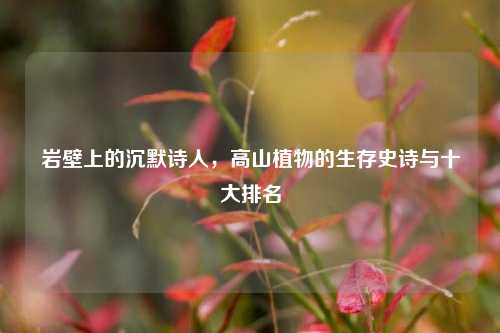 岩壁上的沉默诗人，高山植物的生存史诗与十大排名