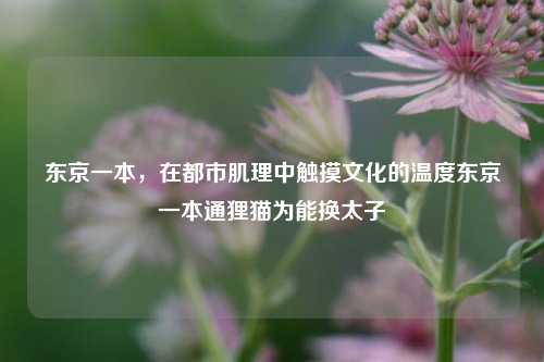 东京一本，在都市肌理中触摸文化的温度东京一本通狸猫为能换太子