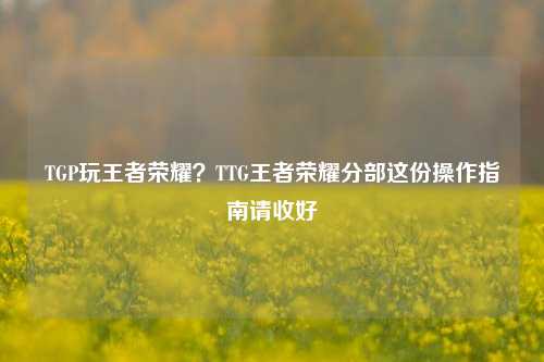 TGP玩王者荣耀？TTG王者荣耀分部这份操作指南请收好