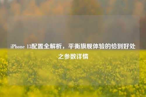 iPhone 13配置全解析，平衡旗舰体验的恰到好处之参数详情