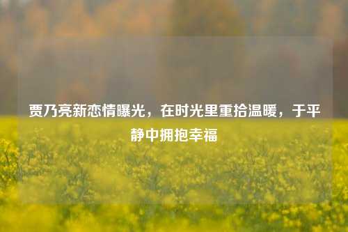 贾乃亮新恋情曝光，在时光里重拾温暖，于平静中拥抱幸福