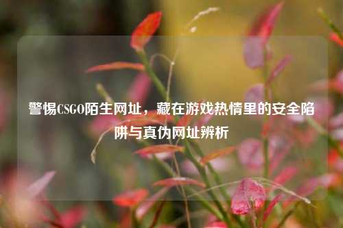 警惕CSGO陌生网址，藏在游戏热情里的安全陷阱与真伪网址辨析