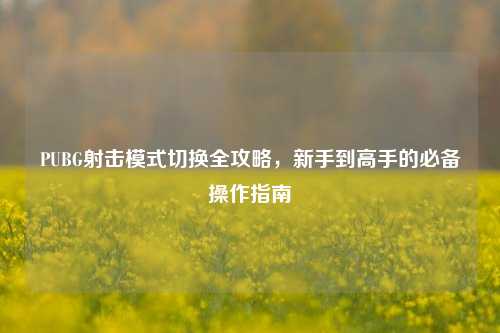 PUBG射击模式切换全攻略，新手到高手的必备操作指南
