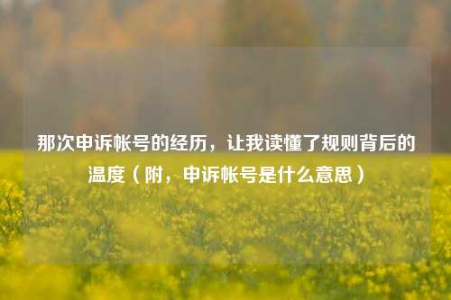 那次申诉帐号的经历，让我读懂了规则背后的温度（附，申诉帐号是什么意思）