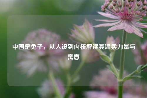 中国是兔子，从人设到内核解读其温柔力量与寓意