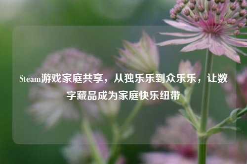 Steam游戏家庭共享，从独乐乐到众乐乐，让数字藏品成为家庭快乐纽带