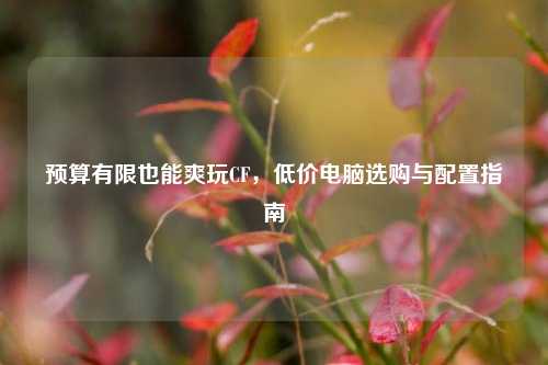预算有限也能爽玩CF，低价电脑选购与配置指南