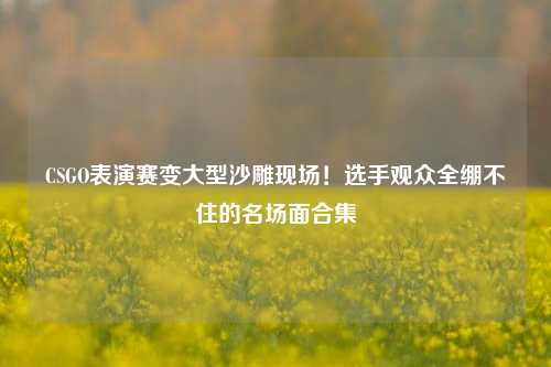 CSGO表演赛变大型沙雕现场!选手观众全绷不住的名场面合集
