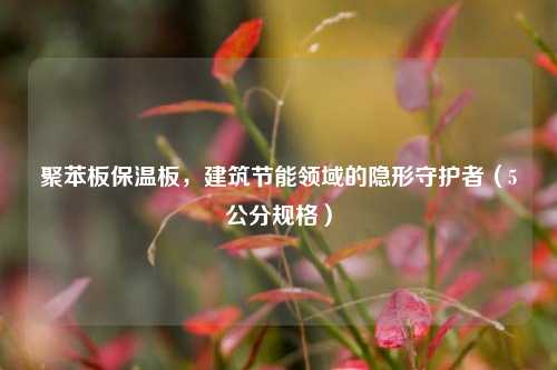 聚苯板保温板，建筑节能领域的隐形守护者（5公分规格）