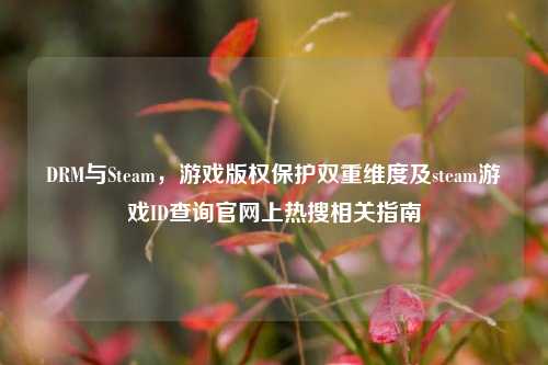 DRM与Steam，游戏版权保护双重维度及steam游戏ID查询官网上热搜相关指南