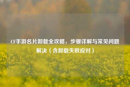 CF手游名片卸载全攻略，步骤详解与常见问题解决（含卸载失败应对）