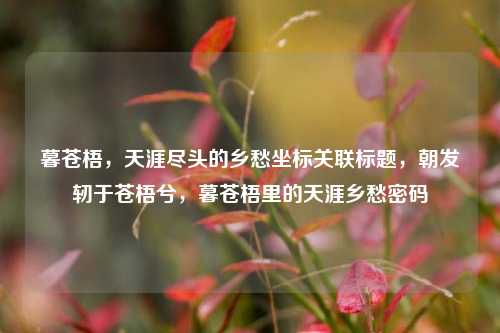 暮苍梧，天涯尽头的乡愁坐标关联标题，朝发轫于苍梧兮，暮苍梧里的天涯乡愁密码
