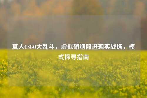 真人CSGO大乱斗，虚拟硝烟照进现实战场，模式探寻指南