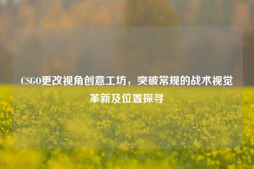 CSGO更改视角创意工坊，突破常规的战术视觉革新及位置探寻