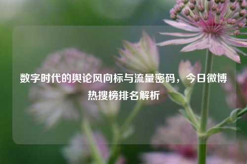 数字时代的舆论风向标与流量密码，今日微博热搜榜排名解析