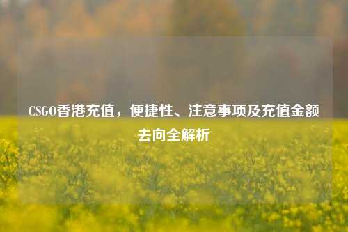 CSGO香港充值，便捷性、注意事项及充值金额去向全解析