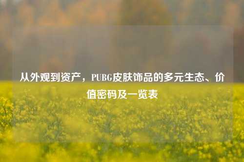 从外观到资产，PUBG皮肤饰品的多元生态、价值密码及一览表