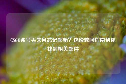 CSGO账号丢失且忘记邮箱？这份救回指南帮你找到相关邮件