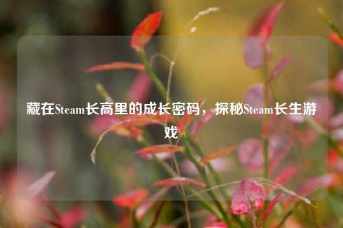 藏在Steam长高里的成长密码，探秘Steam长生游戏