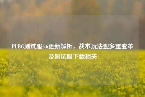 PUBG测试服6.6更新解析，战术玩法迎多重变革及测试服下载相关