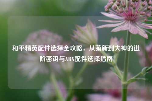 和平精英配件选择全攻略，从萌新到大神的进阶密钥与ARX配件选择指南