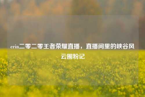 erin二零二零王者荣耀直播，直播间里的峡谷风云圈粉记