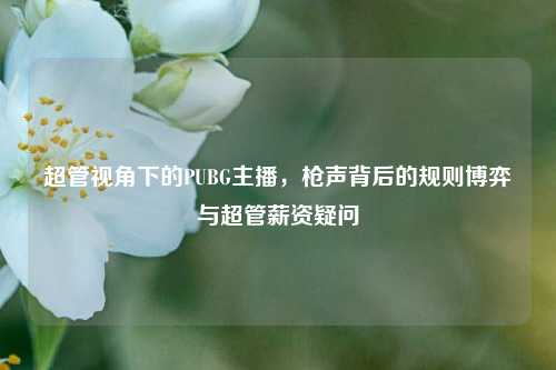 超管视角下的PUBG主播，枪声背后的规则博弈与超管薪资疑问