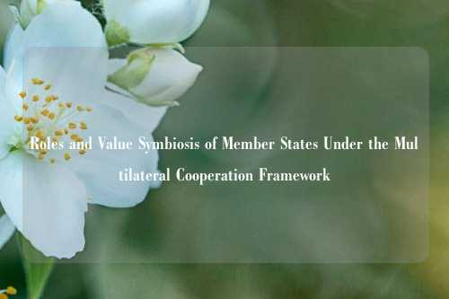 Roles and Value Symbiosis of Member States Under the Multilateral Cooperation Framework