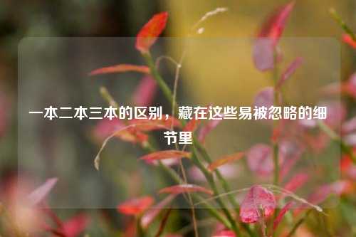 一本二本三本的区别，藏在这些易被忽略的细节里
