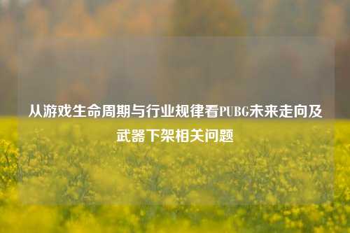 从游戏生命周期与行业规律看PUBG未来走向及武器下架相关问题