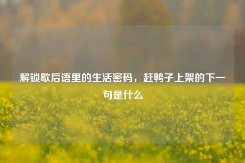 解锁歇后语里的生活密码，赶鸭子上架的下一句是什么
