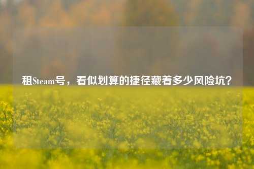 租Steam号，看似划算的捷径藏着多少风险坑？