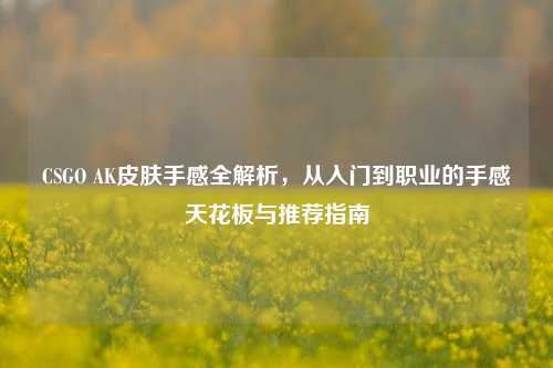 CSGO AK皮肤手感全解析，从入门到职业的手感天花板与推荐指南