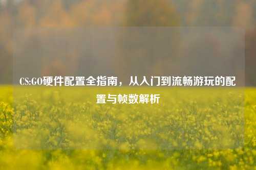 CS:GO硬件配置全指南，从入门到流畅游玩的配置与帧数解析