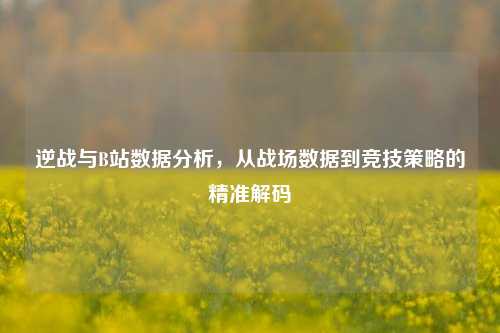 逆战与B站数据分析，从战场数据到竞技策略的精准解码