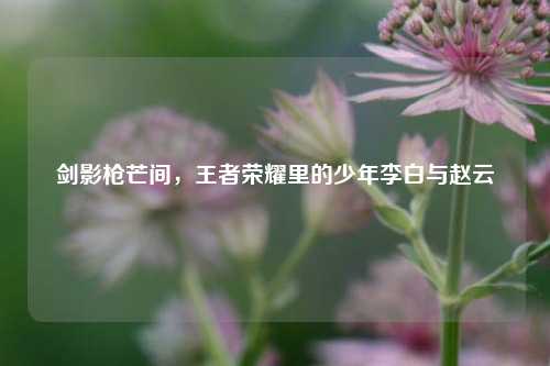 剑影枪芒间，王者荣耀里的少年李白与赵云