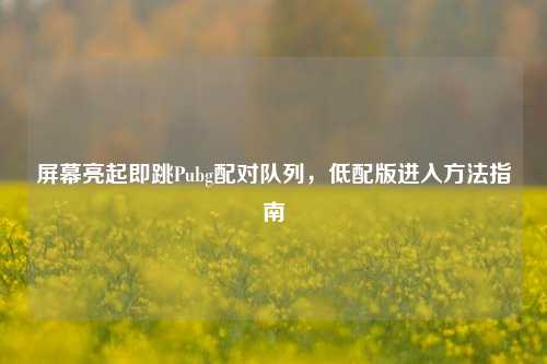 屏幕亮起即跳Pubg配对队列，低配版进入方法指南