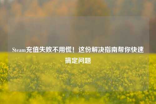 Steam充值失败不用慌！这份解决指南帮你快速搞定问题